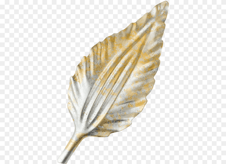 Silver Amp Gold Leaf Conch, Plant, Weapon Png Image