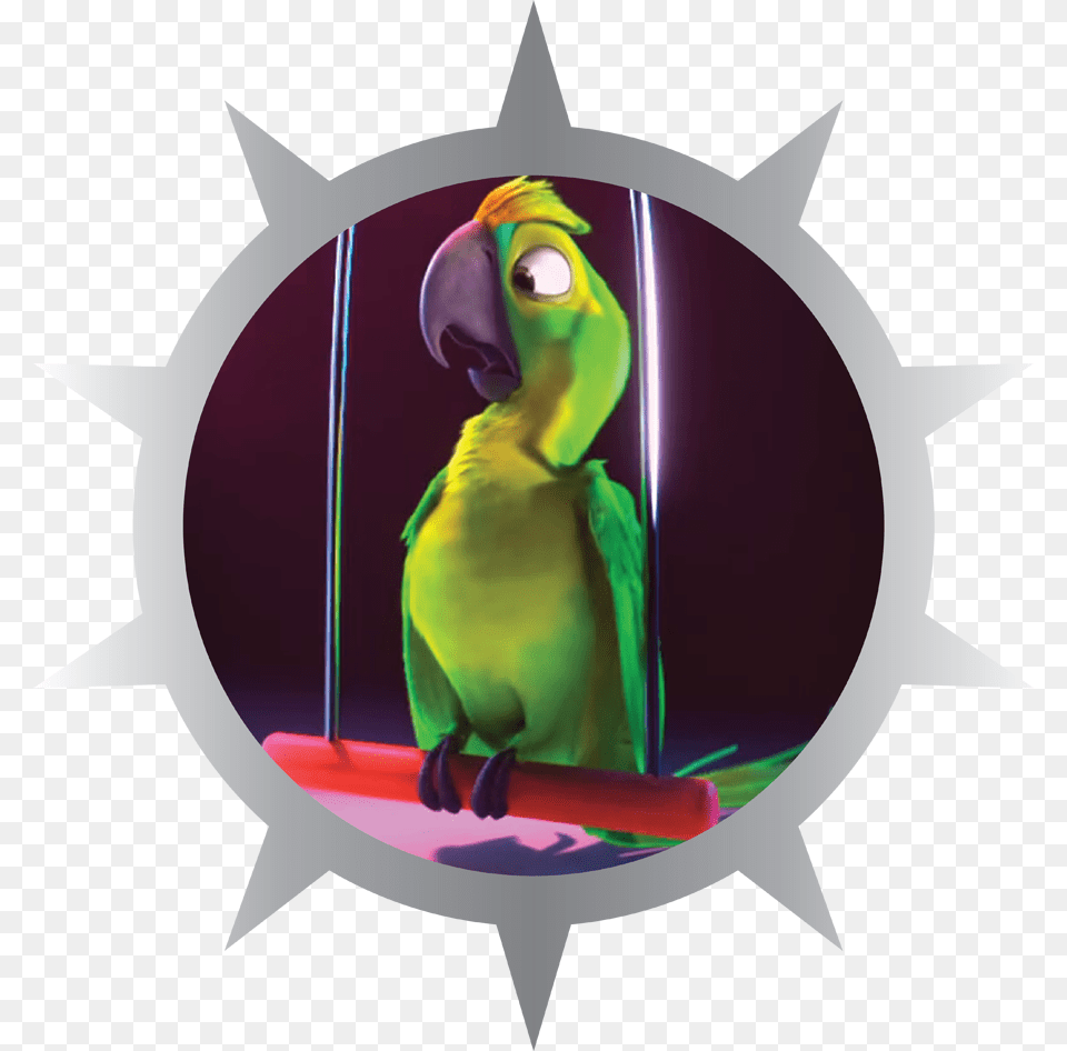 Silver Badge Parakeet Parakeet, Animal, Bird, Parrot Png