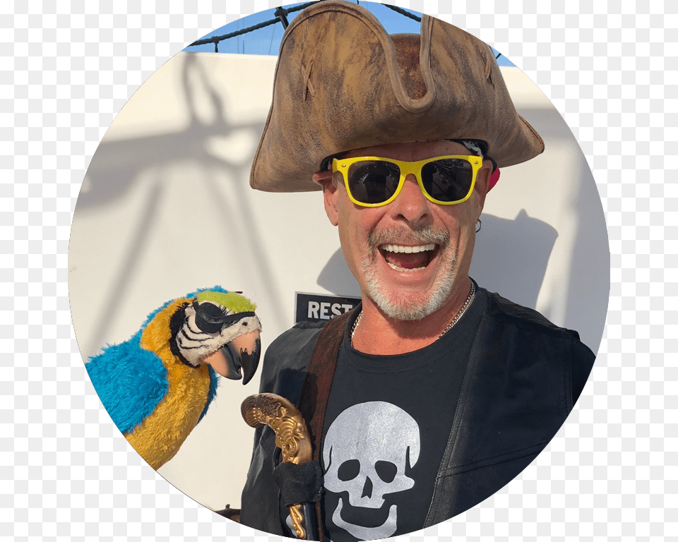 Silver Beard Piracy, Accessories, Photography, Sunglasses, Bird Png Image
