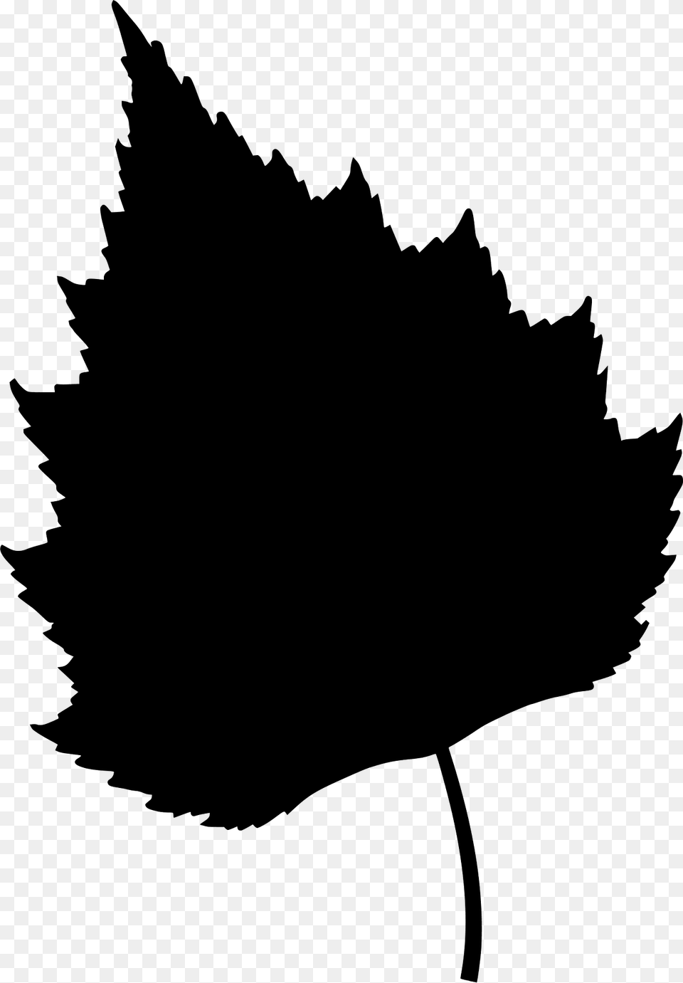Silver Birch Leaf Silhouette, Plant, Tree, Maple Leaf, Animal Png Image