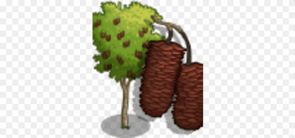 Silver Birch Tree Farmville Wiki Fandom Illustration, Plant, Conifer Png Image