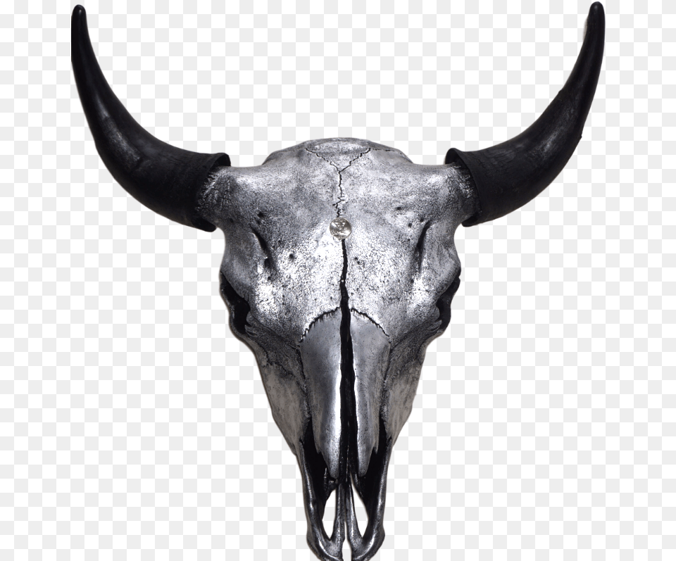 Silver Bison Skull Horn, Animal, Bull, Mammal, Cattle Png Image