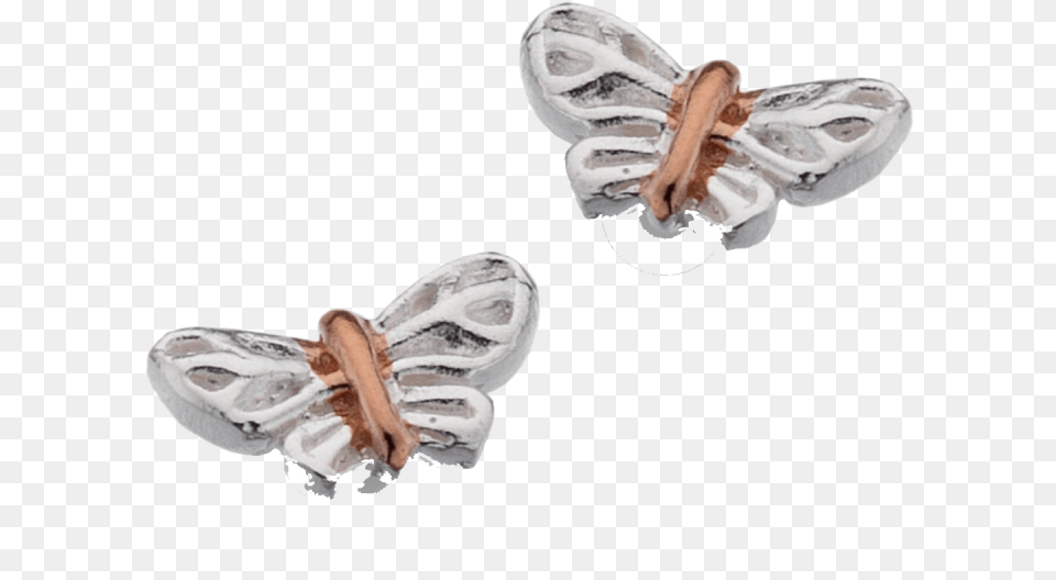 Silver Butterfly Studs With Rose Gold By Sea Gems Milkweed Butterflies, Accessories, Earring, Jewelry Free Transparent Png