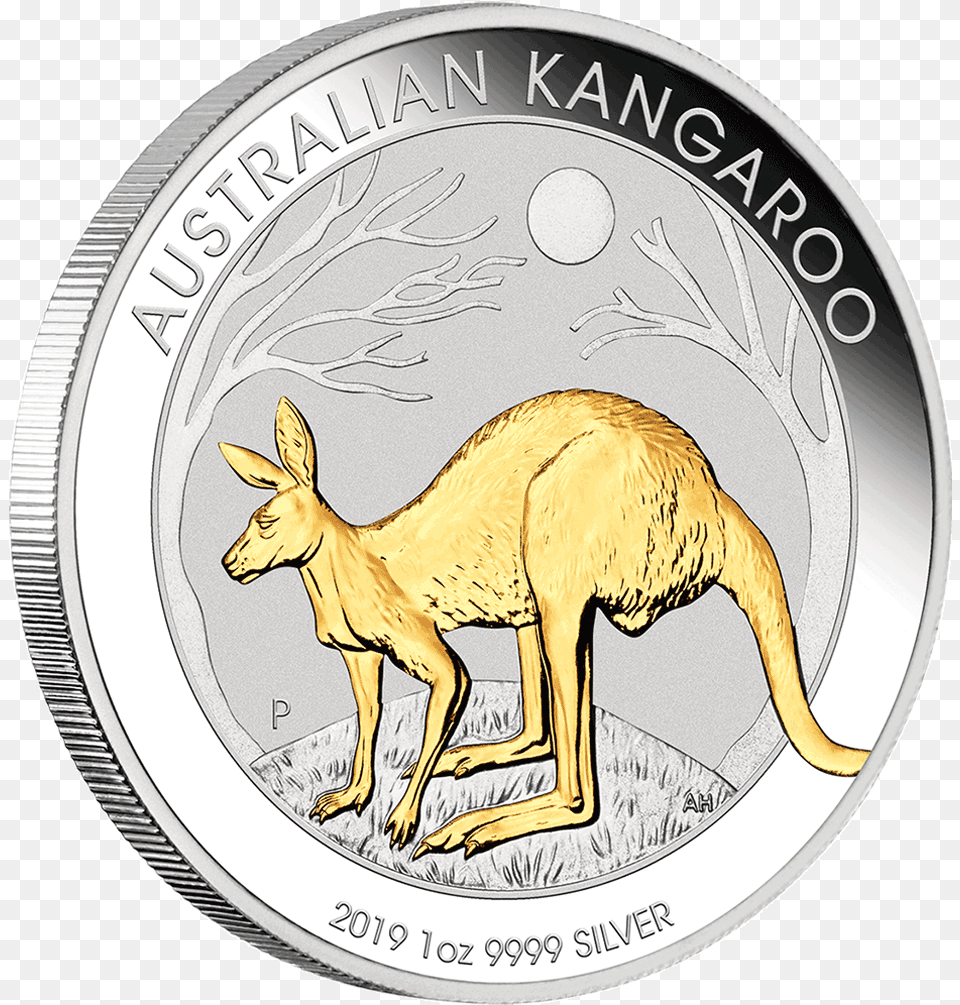 Silver Coin, Animal, Kangaroo, Mammal, Money Free Png