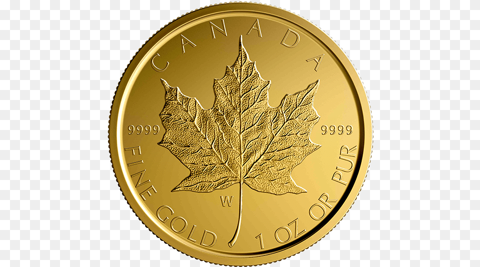 Silver Coin, Leaf, Plant, Gold, Money Free Png Download