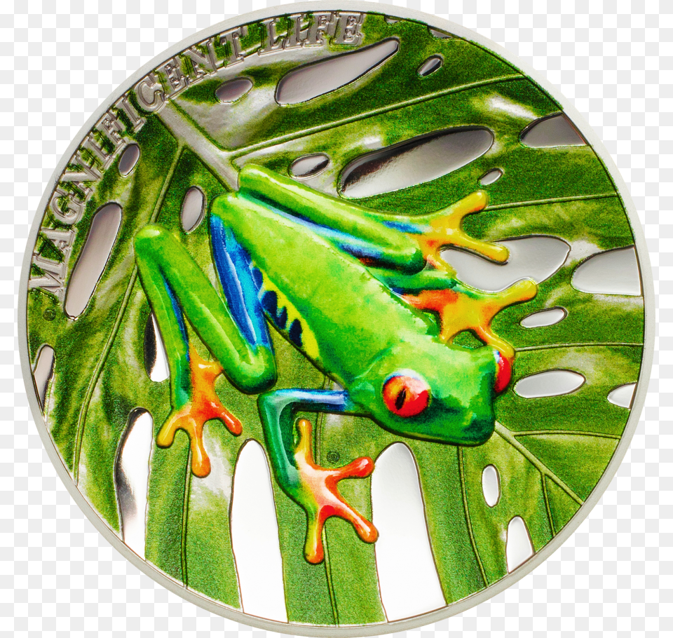 Silver Color Frog Coin, Amphibian, Animal, Wildlife Png Image