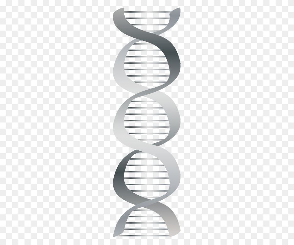 Silver Dna Icon, Coil, Spiral, Smoke Pipe Free Transparent Png