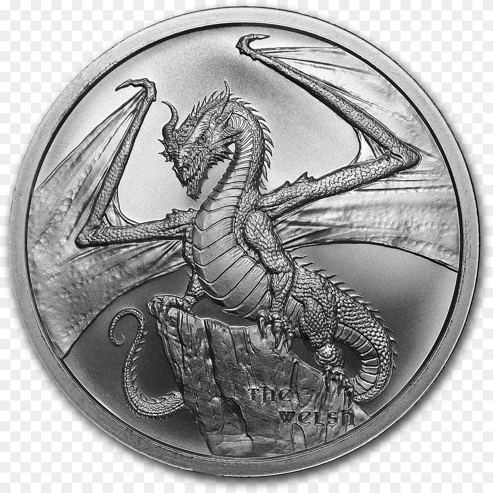 Silver Dragon, Animal, Dinosaur, Reptile Free Transparent Png