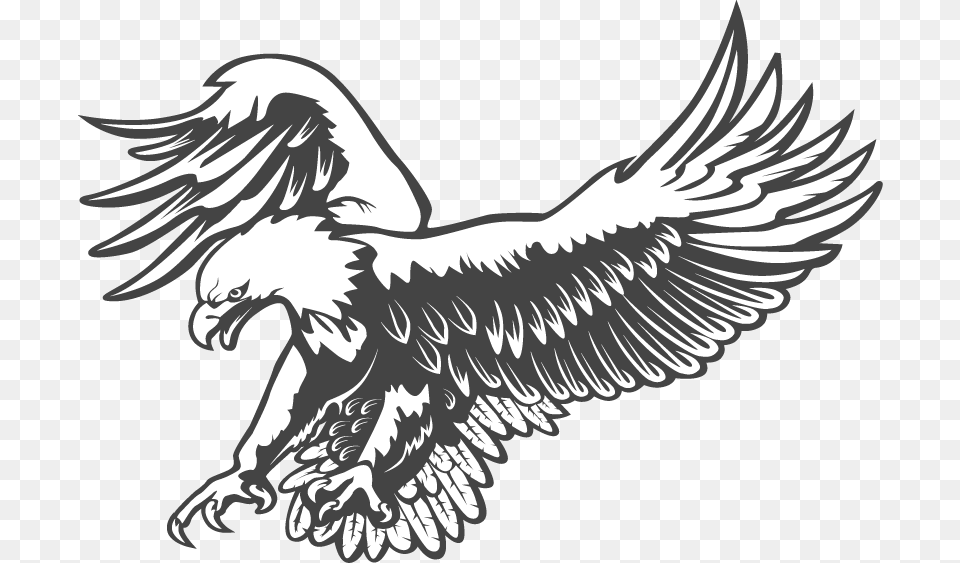 Silver Eagle Termite Eagle Black And White, Animal, Bird, Vulture, Fish Free Png Download