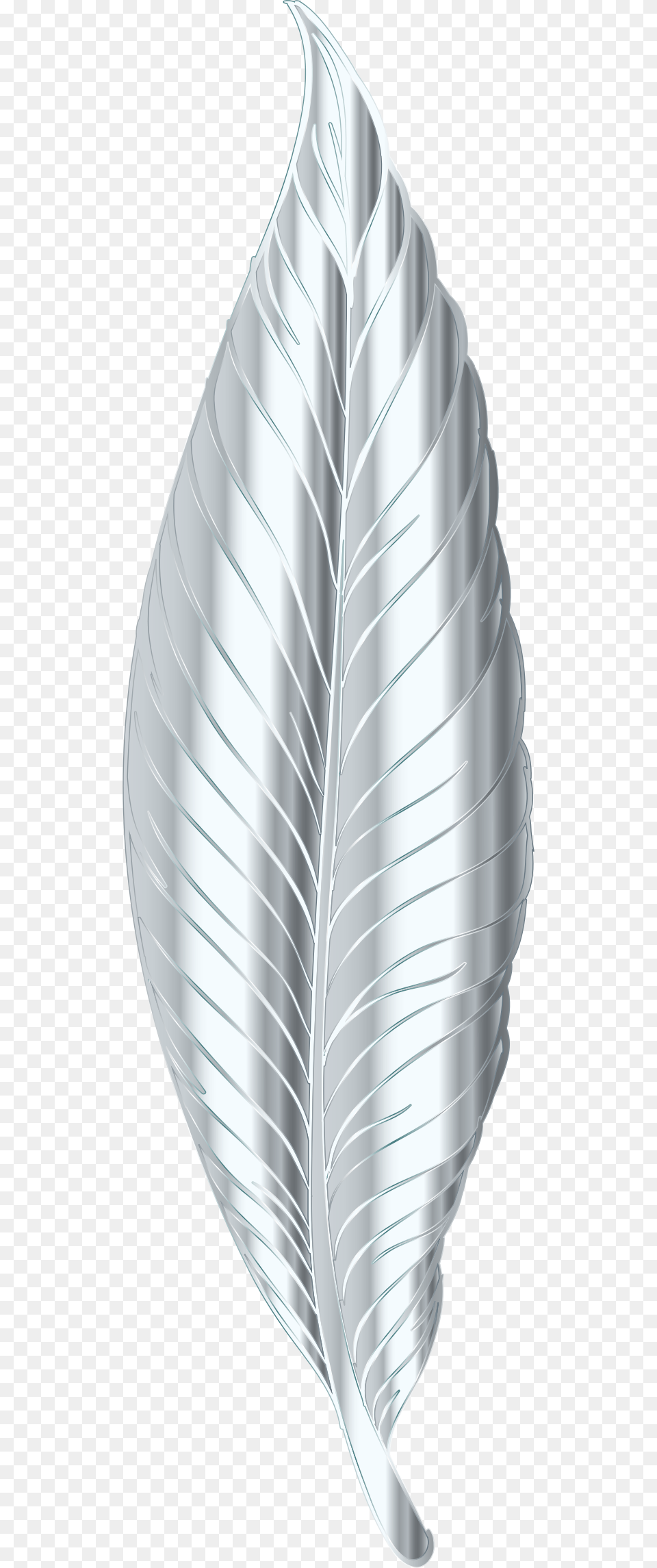 Silver Feather Clip Arts Silver Feather, Leaf, Plant, Flower, Petal Free Png