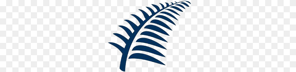 Silver Fern On Twitter You Can Think Of Methylation As Dust, Plant Free Transparent Png