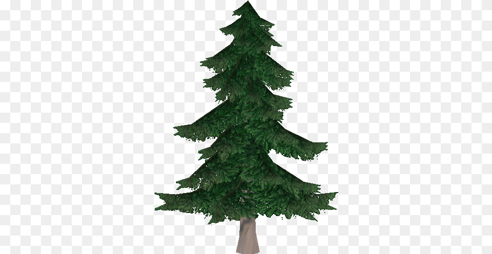 Silver Fir Dell, Pine, Plant, Tree, Conifer Png Image