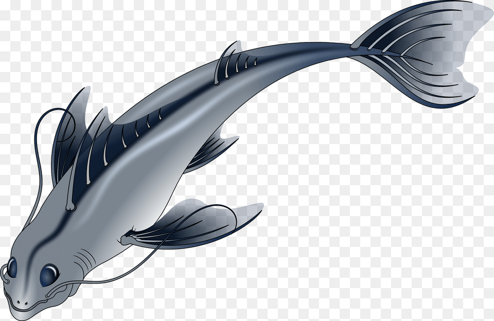 Silver Fish Clipart, Animal, Sea Life, Shark, Mammal Png