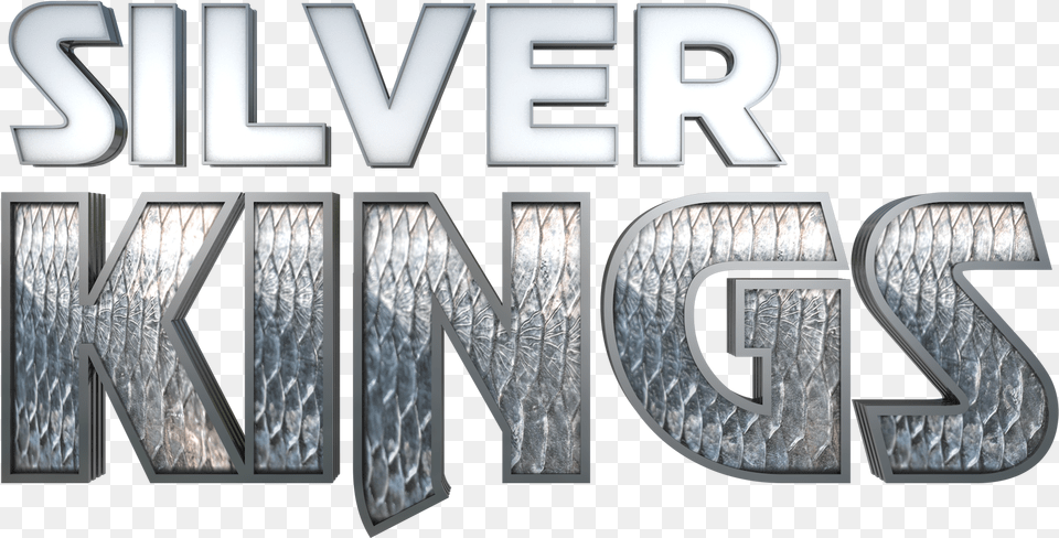 Silver King Crown Silver Kings Logo Full Silver Kings Logo, Aluminium, Accessories, Diamond, Gemstone Png Image