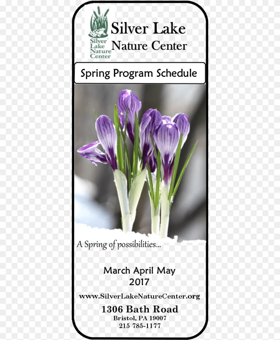 Silver Lake Nature Center, Flower, Petal, Plant, Iris Free Png Download