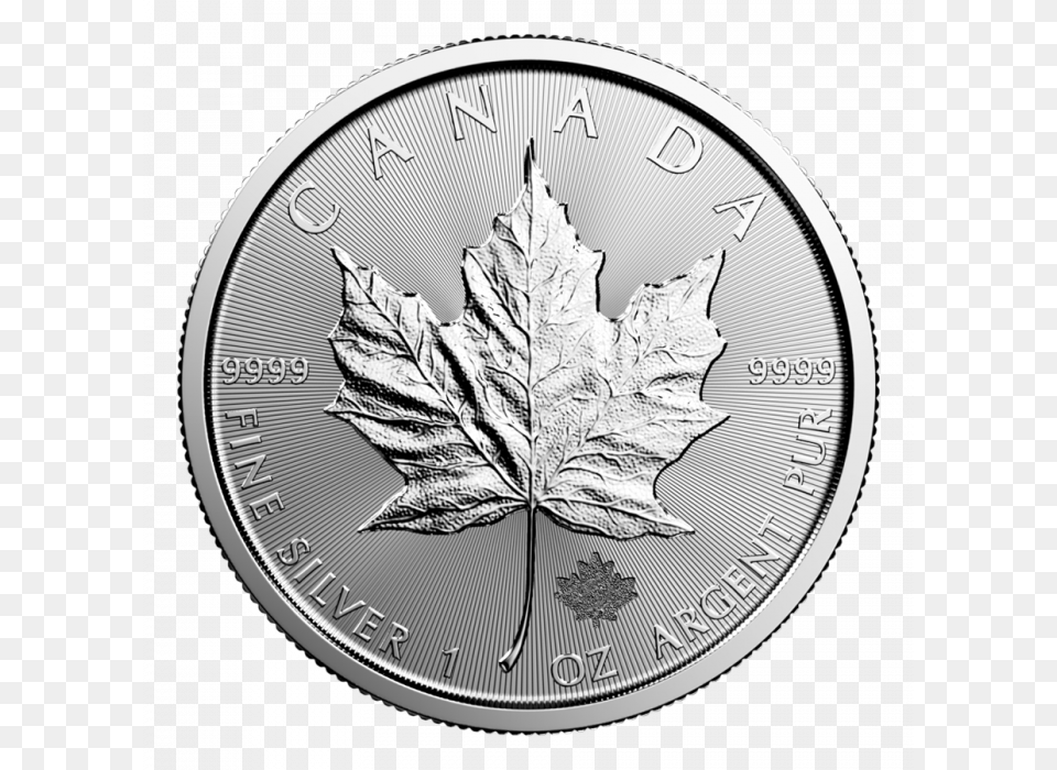 Silver Maple Leaf 2019, Plant, Wristwatch, Coin, Money Free Png Download