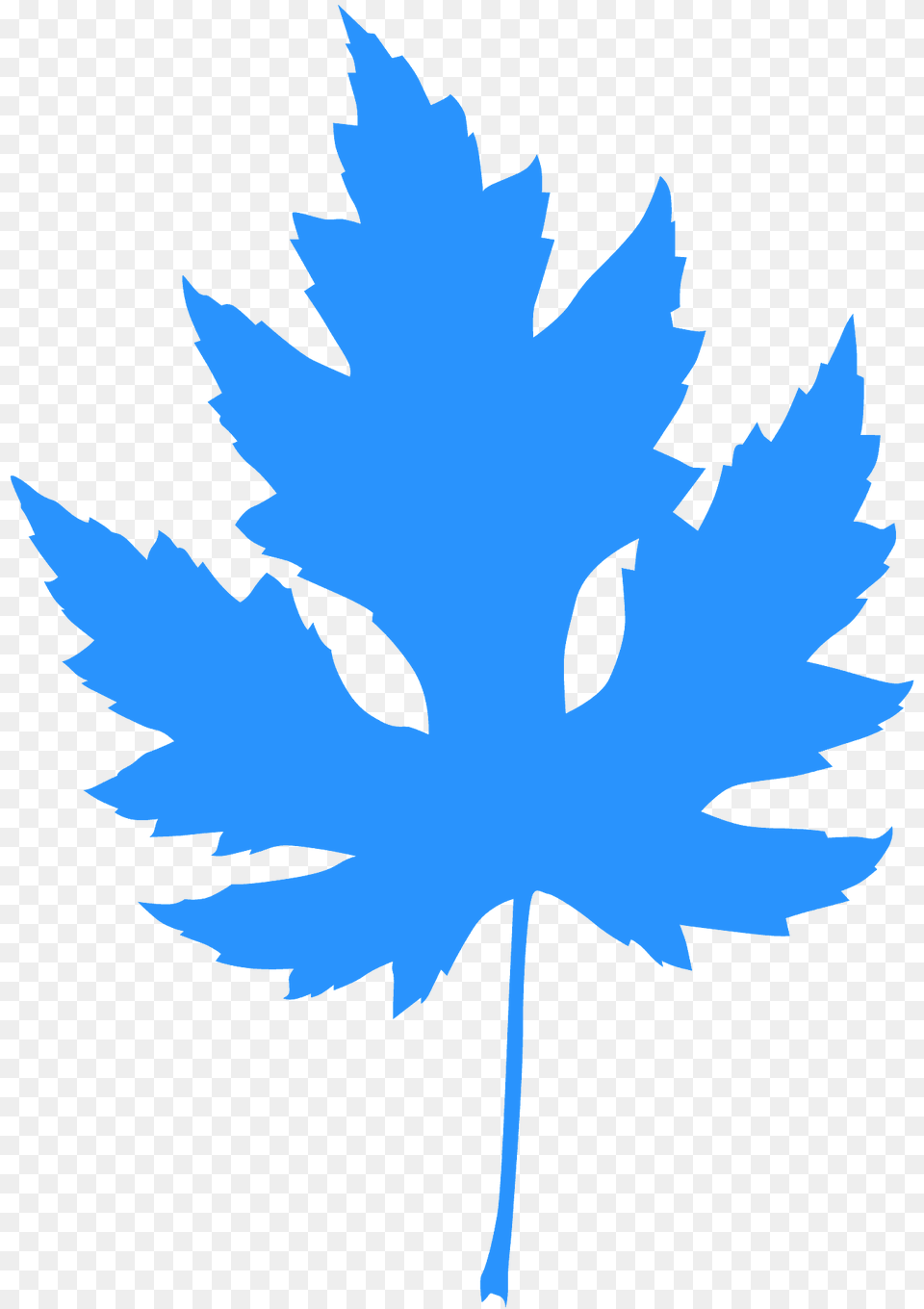 Silver Maple Leaf Silhouette, Maple Leaf, Plant, Tree, Animal Free Png Download