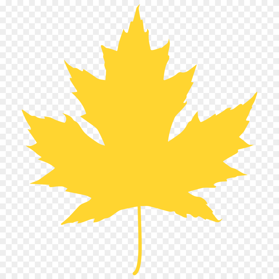 Silver Maple Leaf Silhouette, Maple Leaf, Plant, Tree, Animal Free Png