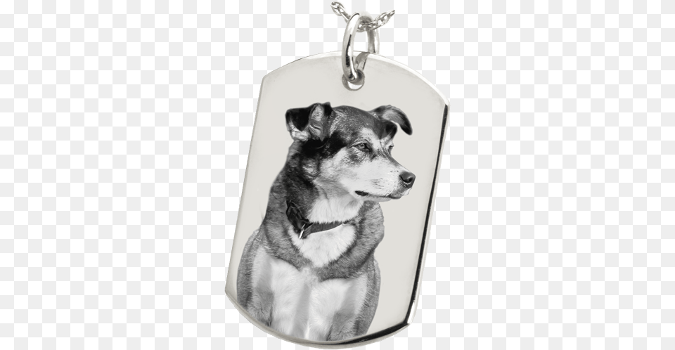 Silver Pet Photo Dog Tag Actual Pawprint Or Noseprint Flat Dog Tag Pendant, Accessories, Animal, Canine, Husky Png