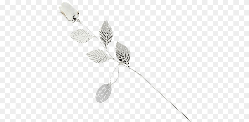 Silver Plated White Rose Twig, Cutlery, Spoon Free Png