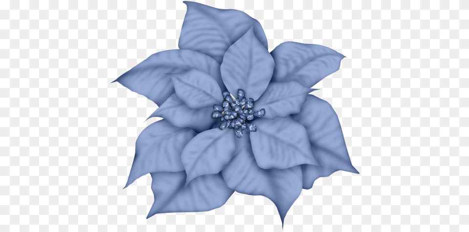 Silver Poinsettia Clipart Blue Christmas Flower, Accessories, Leaf, Plant, Pattern Free Transparent Png
