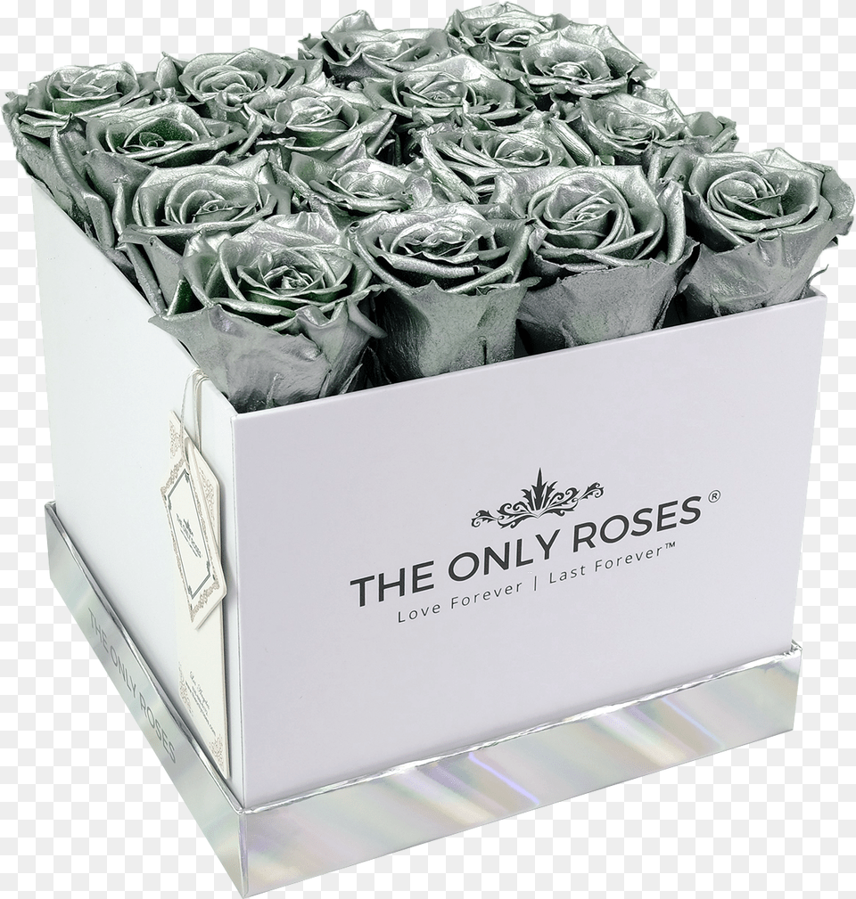 Silver Preserved Roses Box, Flower, Plant, Rose, Flower Arrangement Png Image