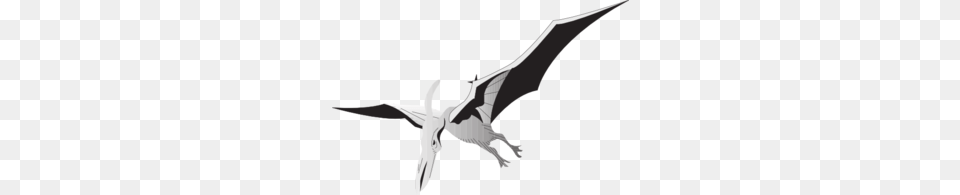 Silver Pterodactyl Clip Art, Animal, Bird, Flying, Seagull Png Image