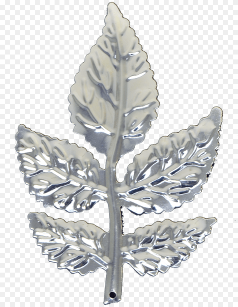 Silver Rose Leaf Emblem, Plant, Aluminium, Accessories, Jewelry Png Image