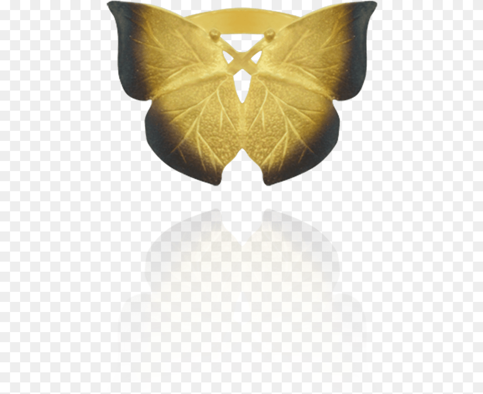 Silver Spotted Skipper, Leaf, Plant, Home Decor, Accessories Free Png Download