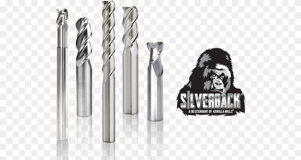 Silverback Lineup And Logo, Adult, Female, Person, Woman Png Image