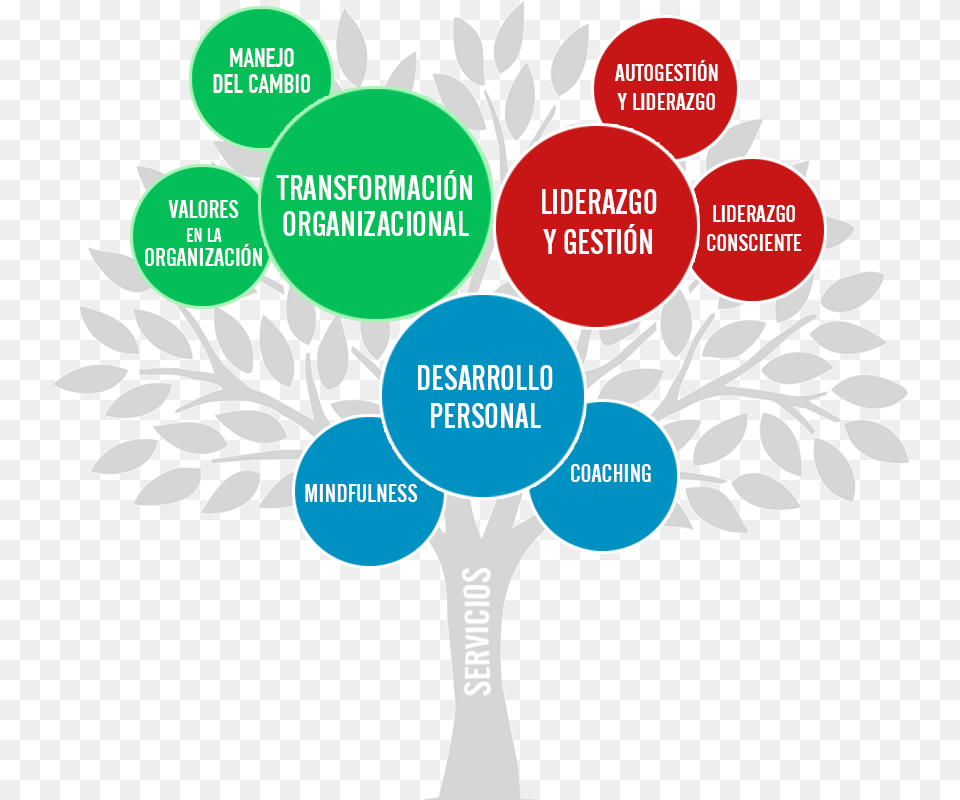 Silvio Raij Rbol De Servicios Arbol De Valores, Art, Graphics Free Transparent Png