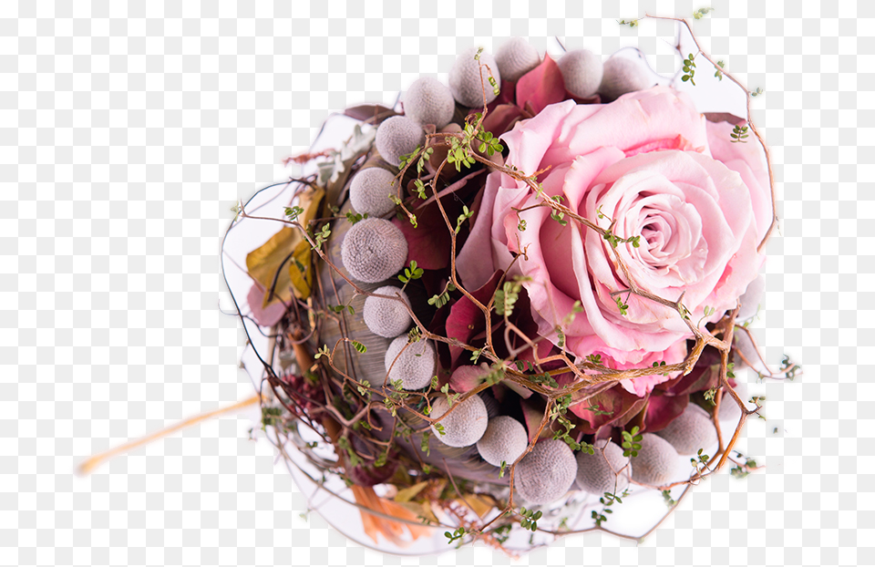 Silvosa Flores, Flower, Flower Arrangement, Flower Bouquet, Plant Free Png Download