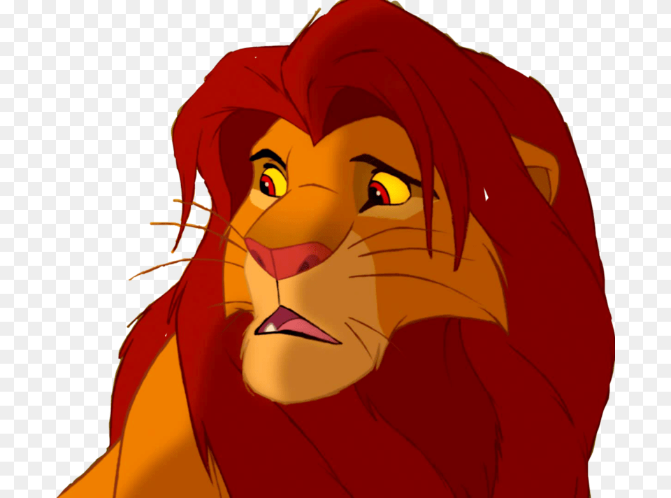 Simba File Adult Simba Transparent Background, Person, Woman, Female, Face Free Png