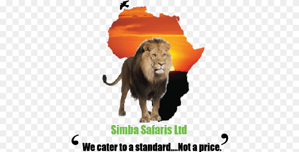 Simbasarisuk Transparent Continent Africa, Animal, Lion, Mammal, Wildlife Png Image