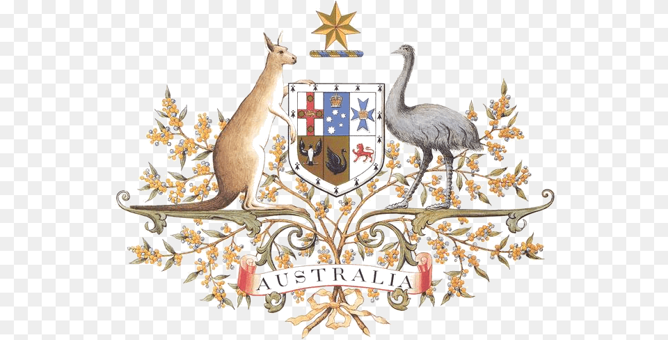 Simbolo Da Australia Canguru, Animal, Bird, Kangaroo, Mammal Png