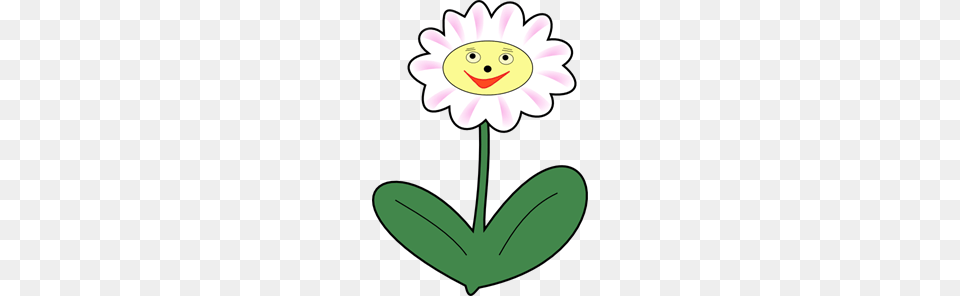 Simle Images Icon Cliparts, Daisy, Flower, Plant, Petal Free Transparent Png