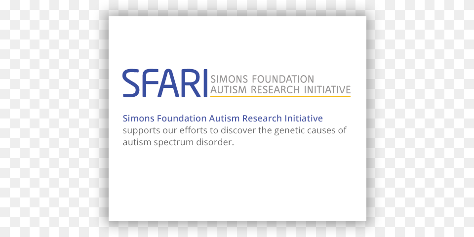 Simons Foundation Autism Research Initiative, Page, Text, Paper Free Png Download