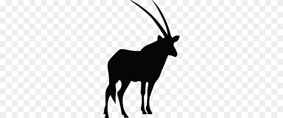 Simple Antelope Silhouette, Animal, Mammal, Wildlife, Gazelle Free Png