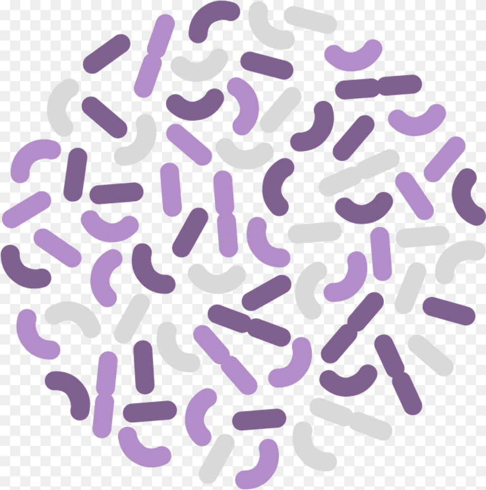 Simple Bacteria Illustration In Purple And Beige Probiotics And Diabetes, Sprinkles Free Transparent Png