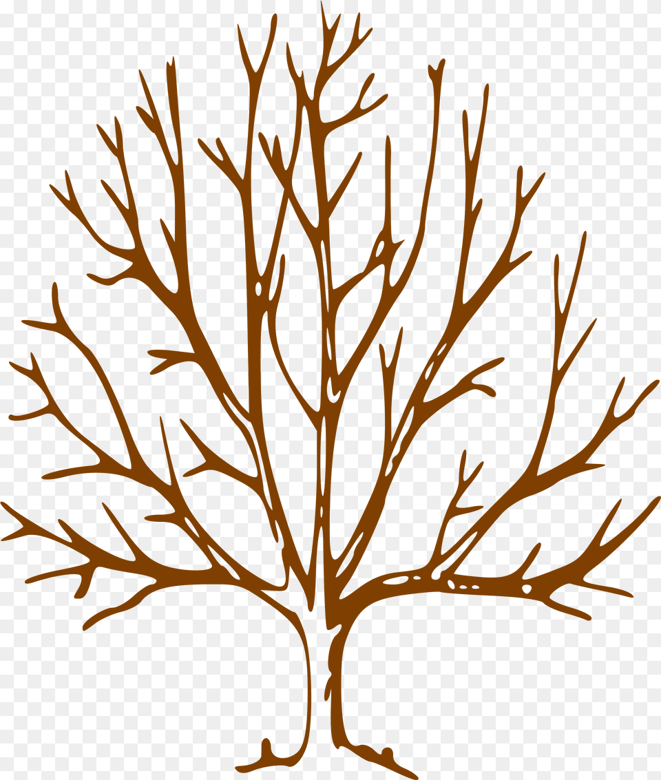 Simple Bare Tree Clipart Info Tree With Bare Bare Tree Clipart, Leaf, Plant, Art, Antler Free Png Download