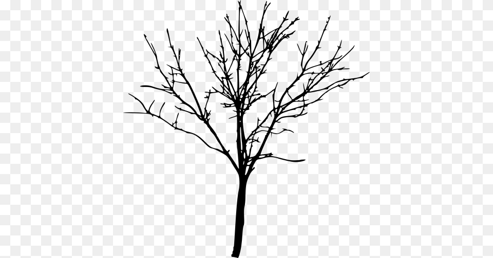 Simple Bare Tree Silhouette, Plant, Tree Trunk, Grass Png Image