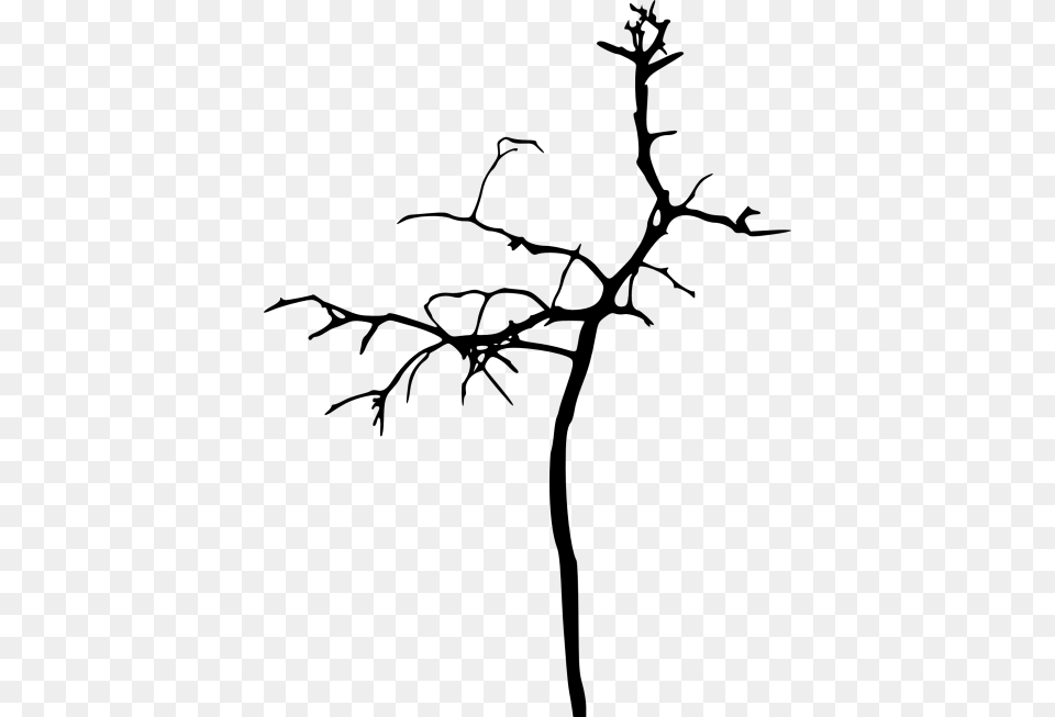 Simple Bare Tree Silhouette Bare Tree Silhouettes, Plant, Leaf, Art, Animal Free Png