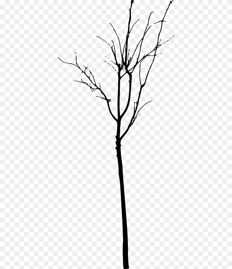 Simple Bare Tree Silhouette Twig, Gray Free Png
