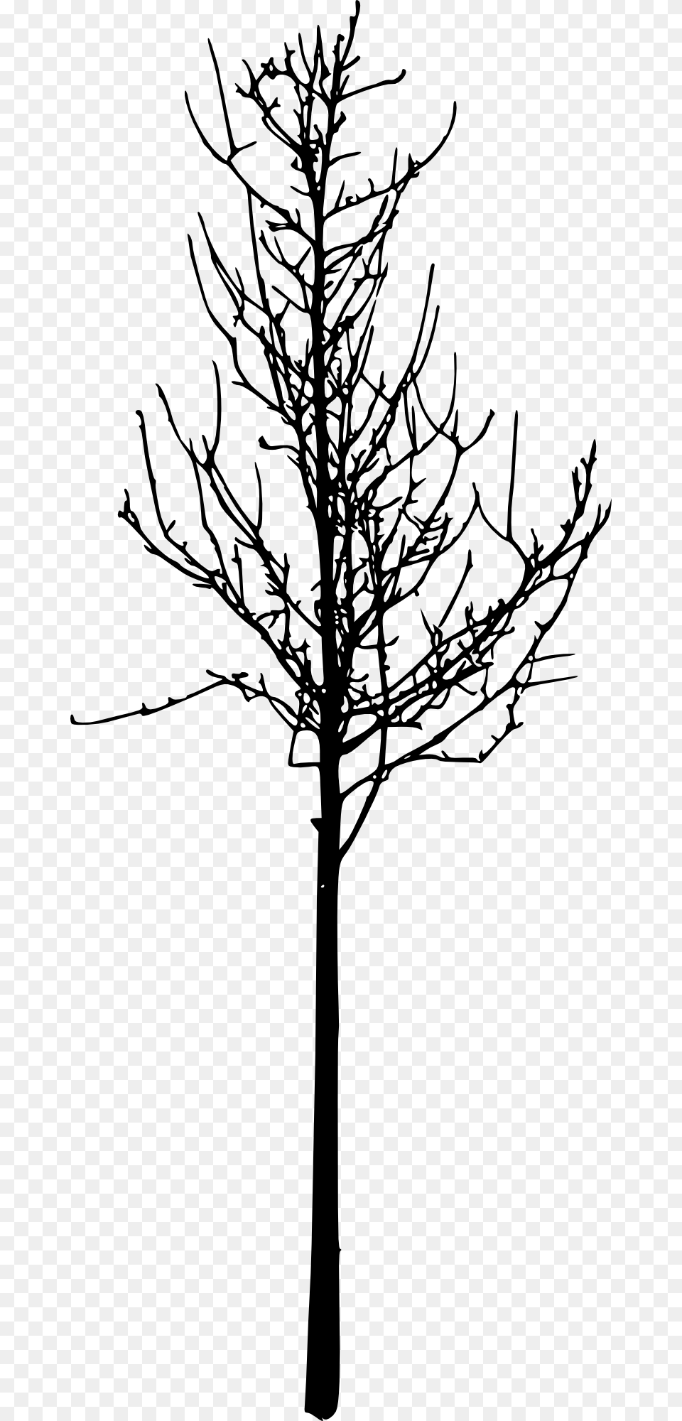 Simple Bare Tree Silhouettes Portable Network Graphics, Plant, Silhouette, Tree Trunk, Art Png Image