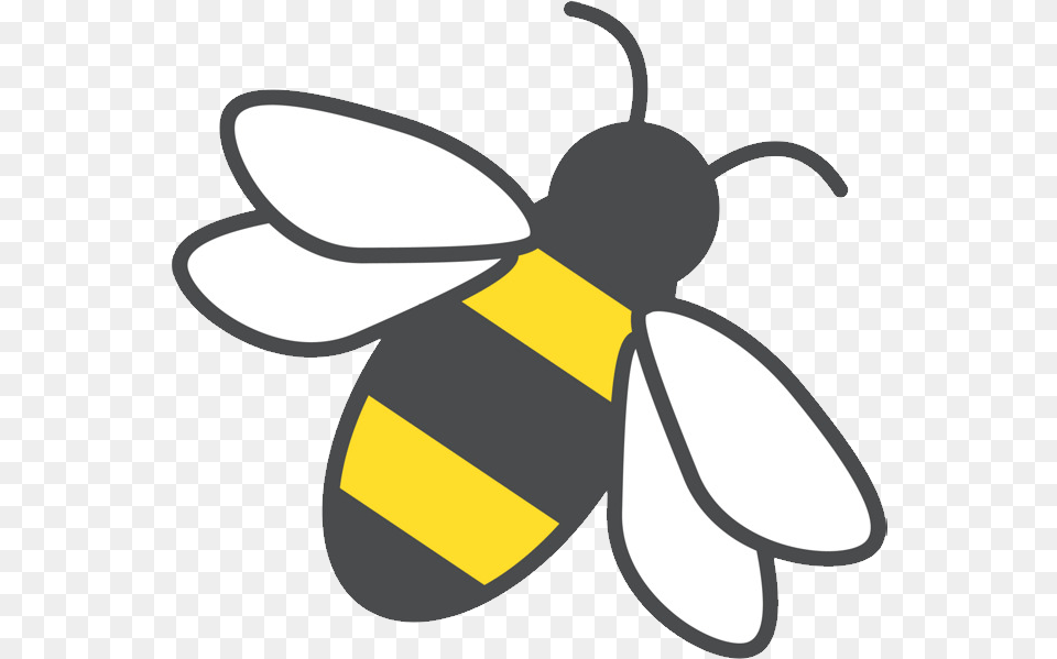 Simple Bee Template, Animal, Honey Bee, Insect, Invertebrate Free Transparent Png