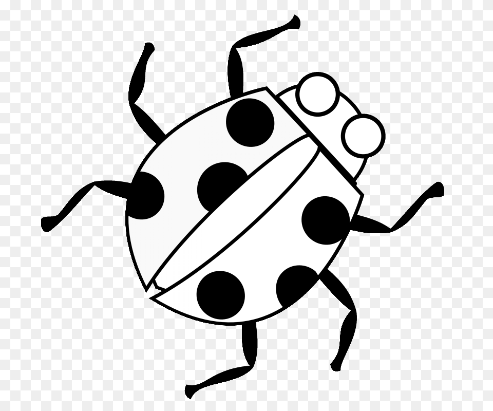 Simple Black And White Ladybug Tattoo Design, Animal, Stencil Free Png Download
