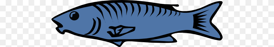 Simple Blue Fish Art Clip Art For Web, Animal, Food, Mullet Fish, Sea Life Free Png Download