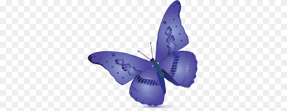 Simple Butterfly Logo Templates Holly Blue, Purple, Animal, Insect, Invertebrate Free Transparent Png