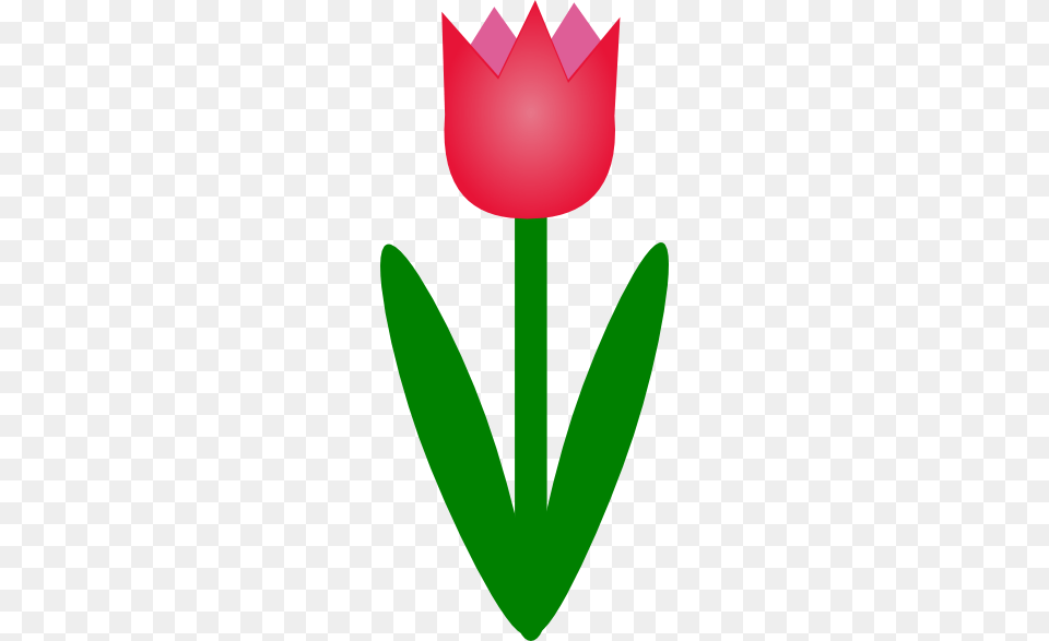 Simple Cartoon Tulip Clip Art For Web, Flower, Plant, Petal Png Image