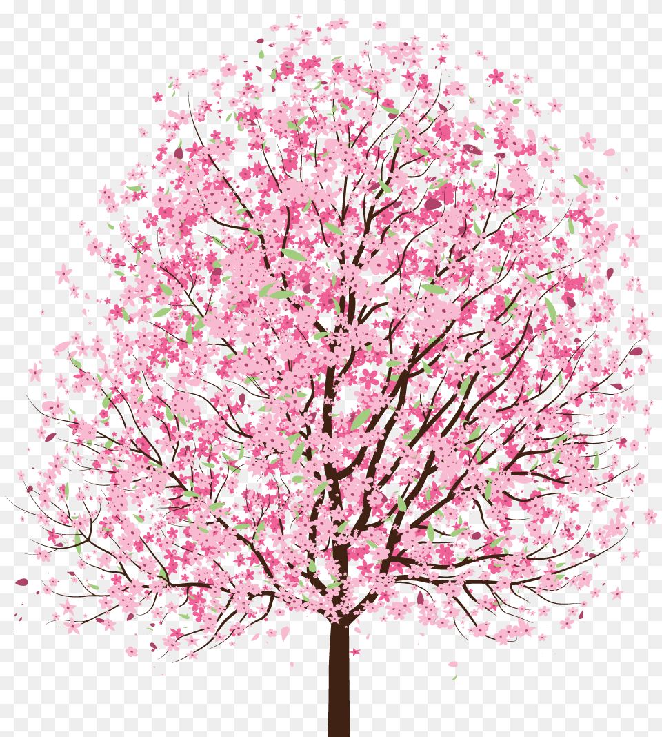 Simple Cherry Blossom Tree Drawing, Flower, Plant, Cherry Blossom Free Transparent Png
